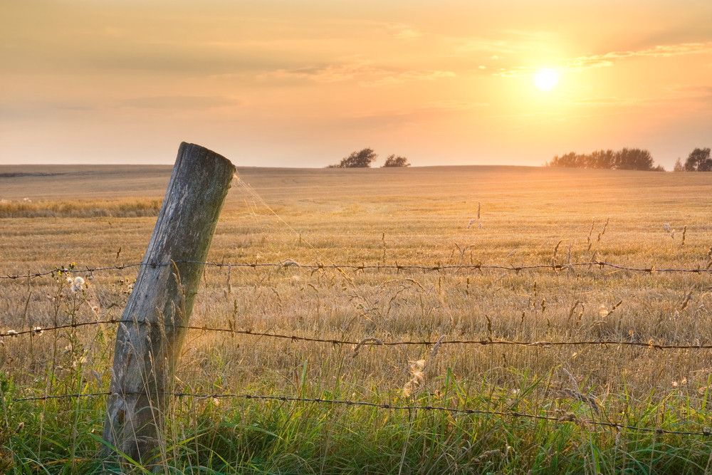 ranch fencing