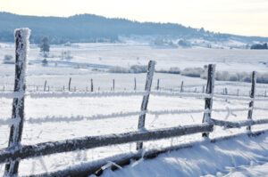 Countryside Fence