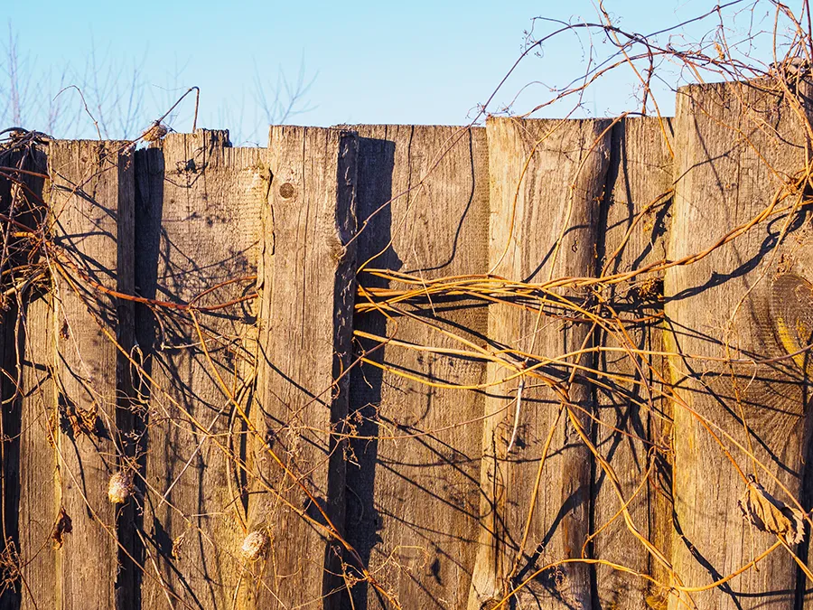 Fence Maintenance Durability